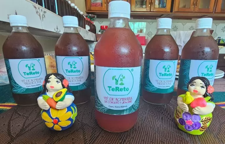Botellas de Kombucha TeReto: tradicional y de coyolito y jengibre